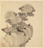 Chen Hongshou / Paintings after Ancient Masters: Chrysanthemum and Rock / 1598-1652