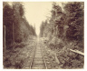 William H. Rau / Hemlock Forest, Lehigh Valley Railroad / c. 1895