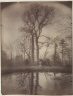 Eugène Atget / The Park at Sceaux [April 1925, 7a.m.] / 1925