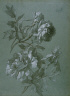 France  (?) / Peony / c. 1790- 1810