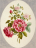 John Edwards / Damask Roses, No. 1; Rose de Meux, No. 2 / 1787