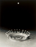 Harold E. Edgerton / Milk Drop Coronet / c.  1936