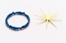 Katharina Fritsch / Fischring und Stern (Fish Ring and Star) / 1983/1994