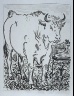 Pablo Picasso / "Le b?uf (The Ox),"  in the book Histoire naturelle:  Picasso eaux-fortes originales pour les textes de Buffon (Picasso's Original Etchings for Buffon's Text)  (Paris: Martin Fabiani, 1942) / 1936