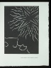 Henri Matisse / "... Mais soudain le soleil, secouant sa crinière ...", pg. 43, in the book Pasiphaé: Chant de Minos (Les Crétois) by H. de Montherlant (Paris: Martin Fabiani, 1944). / 1944