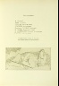 Henri Laurens / Untitled, in the book Les Pélican (The Pelicans) by Raymond Radiguet (Paris: Galerie Simon; 1921). / 1921