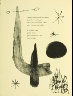 Joán Miró / Untitled, pg. 84, in the book Parler seul by Tristan Tzara (Paris: Adrien Maeght, 1948-50) / 1948 - 1950