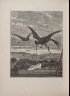 Max Ernst / Untitled, illustration 34, in the book Dernier  Cahier (with 3 sub-volumes) 1) Jeudi, 2) Vendredi, 3) Samedi. Élement: 1) Le Noir, 2) La Vue, 3) L'élément,  Example: 1) "Le rire du doz l'ile de paques", 2) "L'interieur", 3) "La cled des chants", in the book Une semaine de Bonté ou les sept éléments capitaux (Paris: Editions Jeanne Bucher, 1934); volume 5 of 5 / 1934