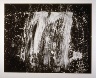 Pat Steir / Big Fall, Black and White / 1991