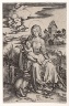 Albrecht Durer / The Virgin and Child with a Monkey / ca. 1498