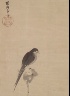 Kano Tanyu / Bird on a Lotus Bud / 1600s