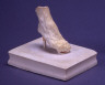 Auguste Rodin / Composition of right foot (one of twenty - 1949.19.1-20) / 19th - 20th century