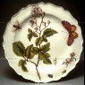 Chelsea factory / Botanical Plate / circa 1755