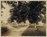 John N.Teunisson / Southern University in New Orleans farm / First half of the twentieth century