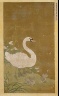 Ming dynasty / Swan and Cygnets / 14th century - 15th century