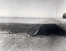 Joseph Bartscherer / May 26, 1984.  New orchard under hand-line irrigation system.  From the series, Pioneering Mattawa / 1984