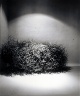 Leland Rice / Untitled (Ceiling with Tumbleweed) / 1975