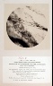 Joseph Janvier Woodward / Microscopical Photographs / 1870