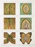 Judy Chicago / Rejection Breakthrough Drawing, from the Rejection Quintet / 1974