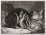 Cornelis Vischer (or Visscher) / The Large Cat / 17th century