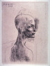 Pablo Picasso / Buste d'homme (Bust of a man), from La suite des saltimbanques (The acrobats set) / 1905