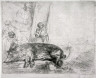 Rembrandt Harmensz van Rijn / The Hog / 1643