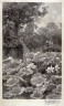 George Delorme / Buddha's Flowers / 19th Century