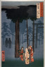 Hiroshige / The Hotohoto Festival at the Great Shrine in Izumo Province (Izumo taisha hotohoto no zu),  from the series Pictures of Famous Places  in the Sixty-odd Provinces (Rokujuoshu meisho zue) / 1853