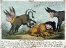 Thomas Rowlandson / The Sick Lion and the Asses / 1809