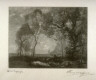 Henry Wolf / Willows / 19th - 20th century