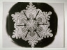 Wilson Alwyn Bentley / Snowflake, March 12, 1888, Jericho, Vermont / 1888