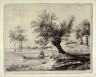 Jean-Baptiste Hugon / Saule Têtard au Bord d'une Riviere / 1836