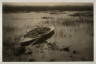 Peter Henry Emerson / Gunner Working up to Fowl, Plate Nineteen of Life and Landscape on the Norfolk Broads / 1886