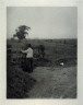 Peter Henry Emerson / The Last Gate / 1895