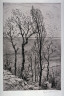 Hans Richard Von Volkmann / Landscape / 19th - 20th century