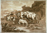 Domenico Brandi / Cows and Sheep / 17th - 18th century