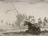 Stefano Della Bella / Les chevaux dans un paturage (Horses in a pasture), pl. 6 from the series Agreable diversité de Figures / 1642