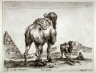 Stefano Della Bella / Camels and a Pyramid, from the series Diversi Animali / 1641