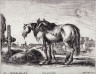 Stefano Della Bella / A Workhorse, from the series Diversi Animali / 1641