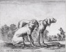 Stefano Della Bella / Two Hunting Dogs, from the series Diversi Animali / 1641