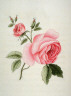 D. Huot / La rose volée, Page 158 of the book, Mon passe-tems dédié à moi-même , vol.1 / circa 1811 - 1813