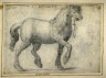 Jan van der Straet (Giovanni Stradano) / Horse / 16th - 17th century