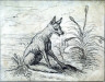 Francis Barlow / Seated Fox / 17th - 18th century