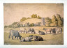 Thomas Rowlandson / Twickenham Meadows (Devon or Cornwall view?) / 18th - 19th century