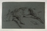 Pierre-Jacques Volaire (le Chevalier Volaire) / Recto: Dead Boar; Verso: Anatomical drawing of hind leg, with notations / 18th Century