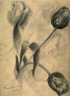 Boris Anisfeld / Tulips / 19th - 20th century