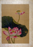 Chiang Su / Lotus  Blossoms / 18th Century