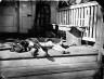 John C. Browne / Dog Asleep on Porch / ca. 1866