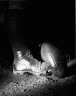 Harold E. Edgerton / Wesley E. Fesler kicking a football / 1934