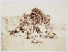 Francis Frith / An Encampment in Ethiopia / ca. 1859